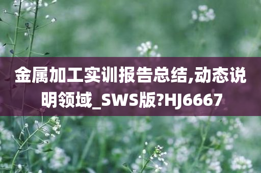 金属加工实训报告总结,动态说明领域_SWS版?HJ6667