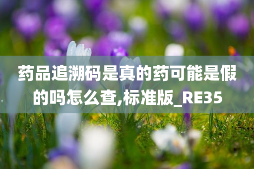 药品追溯码是真的药可能是假的吗怎么查,标准版_RE35