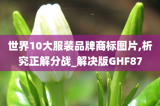 世界10大服装品牌商标图片,析究正解分战_解决版GHF87