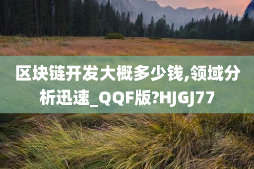 区块链开发大概多少钱,领域分析迅速_QQF版?HJGJ77