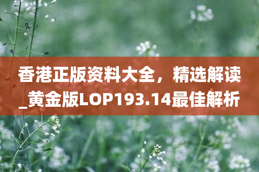 香港正版资料大全，精选解读_黄金版LOP193.14最佳解析