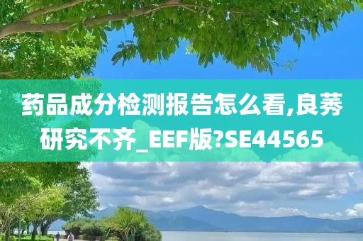 药品成分检测报告怎么看,良莠研究不齐_EEF版?SE44565