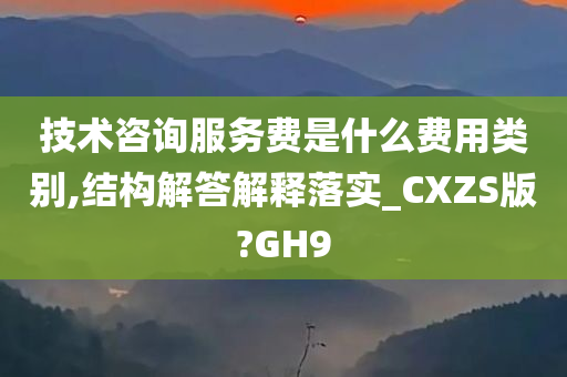 技术咨询服务费是什么费用类别,结构解答解释落实_CXZS版?GH9