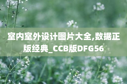 室内室外设计图片大全,数据正版经典_CCB版DFG56