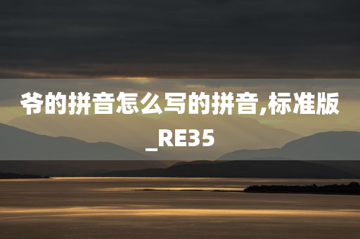 爷的拼音怎么写的拼音,标准版_RE35