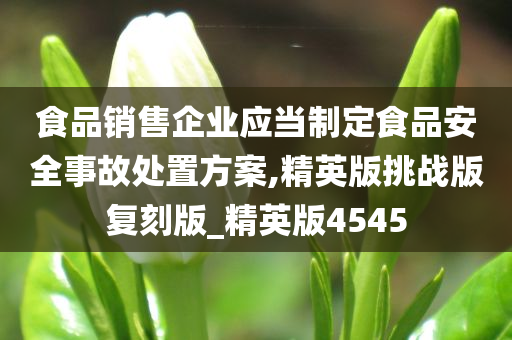 食品销售企业应当制定食品安全事故处置方案,精英版挑战版复刻版_精英版4545