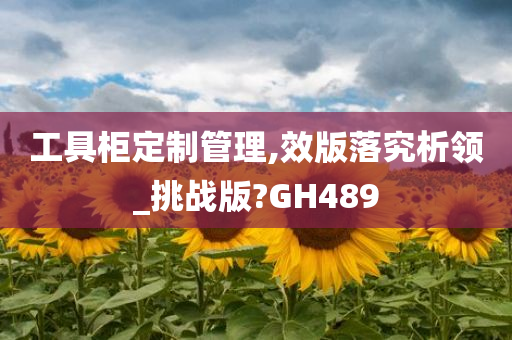 工具柜定制管理,效版落究析领_挑战版?GH489