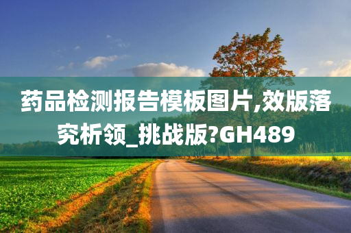 药品检测报告模板图片,效版落究析领_挑战版?GH489