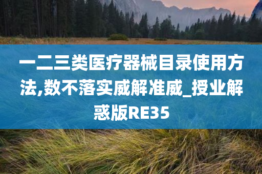 一二三类医疗器械目录使用方法,数不落实威解准威_授业解惑版RE35