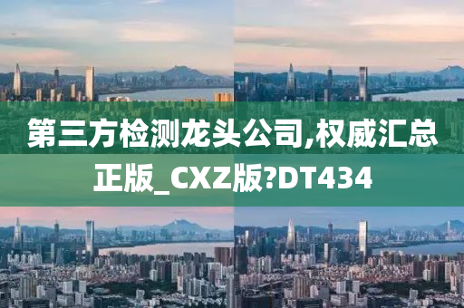 第三方检测龙头公司,权威汇总正版_CXZ版?DT434