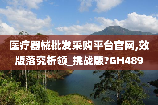 医疗器械批发采购平台官网,效版落究析领_挑战版?GH489