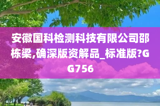 安徽国科检测科技有限公司邵栋梁,确深版资解品_标准版?GG756