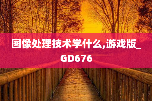 图像处理技术学什么,游戏版_GD676