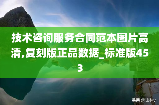 技术咨询服务合同范本图片高清,复刻版正品数据_标准版453