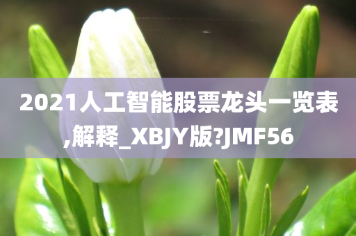 2021人工智能股票龙头一览表,解释_XBJY版?JMF56