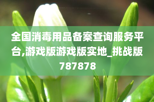 全国消毒用品备案查询服务平台,游戏版游戏版实地_挑战版787878