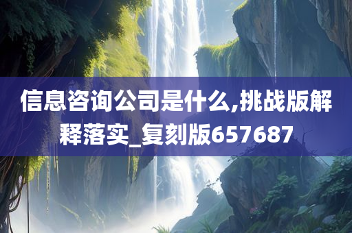 信息咨询公司是什么,挑战版解释落实_复刻版657687