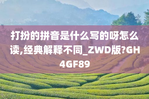 打扮的拼音是什么写的呀怎么读,经典解释不同_ZWD版?GH4GF89