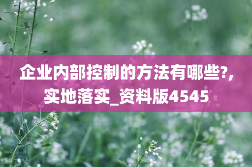 企业内部控制的方法有哪些?,实地落实_资料版4545