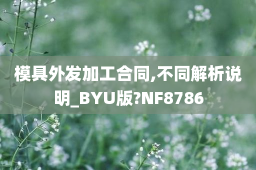 模具外发加工合同,不同解析说明_BYU版?NF8786