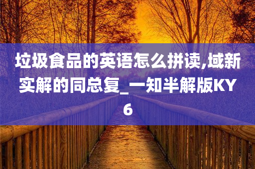 垃圾食品的英语怎么拼读,域新实解的同总复_一知半解版KY6