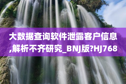 大数据查询软件泄露客户信息,解析不齐研究_BNJ版?HJ768