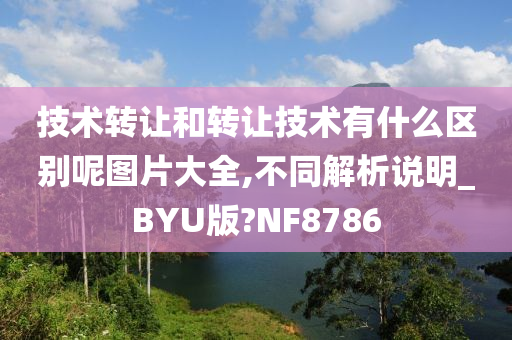 技术转让和转让技术有什么区别呢图片大全,不同解析说明_BYU版?NF8786