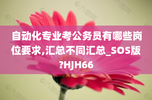 自动化专业考公务员有哪些岗位要求,汇总不同汇总_SOS版?HJH66