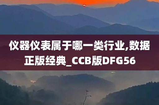 仪器仪表属于哪一类行业,数据正版经典_CCB版DFG56