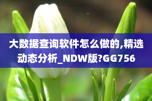 大数据查询软件怎么做的,精选动态分析_NDW版?GG756