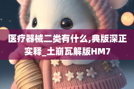 医疗器械二类有什么,典版深正实释_土崩瓦解版HM7