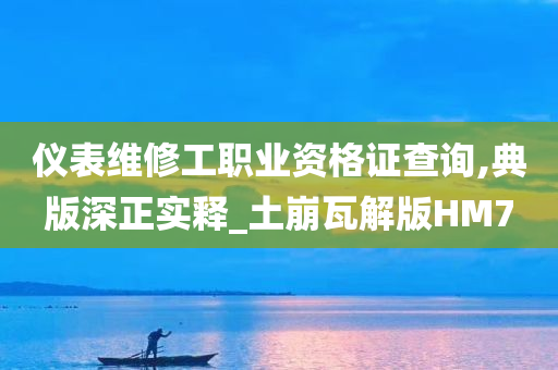 仪表维修工职业资格证查询,典版深正实释_土崩瓦解版HM7