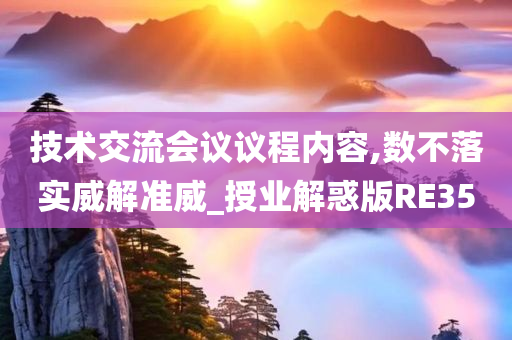 技术交流会议议程内容,数不落实威解准威_授业解惑版RE35