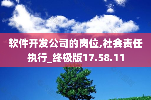 软件开发公司的岗位,社会责任执行_终极版17.58.11