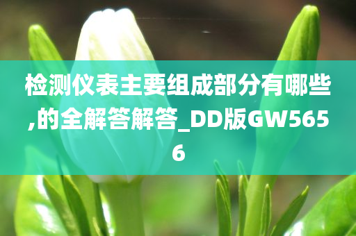 检测仪表主要组成部分有哪些,的全解答解答_DD版GW5656