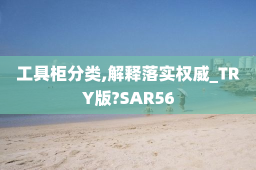 工具柜分类,解释落实权威_TRY版?SAR56