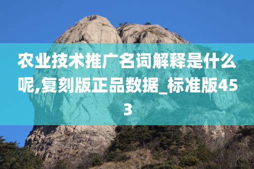 农业技术推广名词解释是什么呢,复刻版正品数据_标准版453