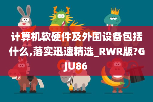 计算机软硬件及外围设备包括什么,落实迅速精选_RWR版?GJU86