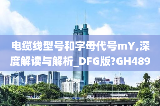 电缆线型号和字母代号mY,深度解读与解析_DFG版?GH489