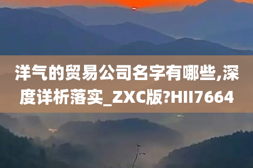 洋气的贸易公司名字有哪些,深度详析落实_ZXC版?HII7664