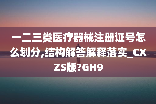 一二三类医疗器械注册证号怎么划分,结构解答解释落实_CXZS版?GH9