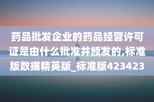 药品批发企业的药品经营许可证是由什么批准并颁发的,标准版数据精英版_标准版423423