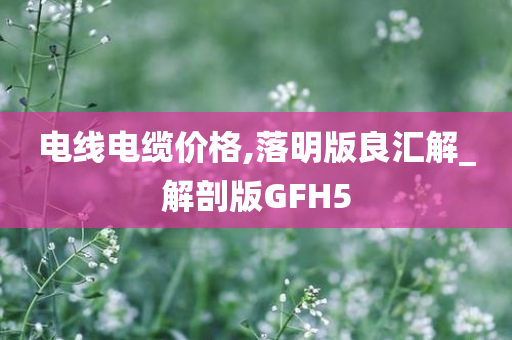 电线电缆价格,落明版良汇解_解剖版GFH5