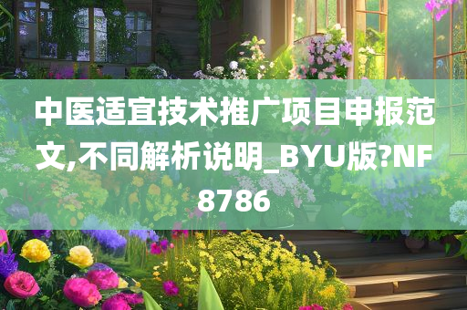 中医适宜技术推广项目申报范文,不同解析说明_BYU版?NF8786