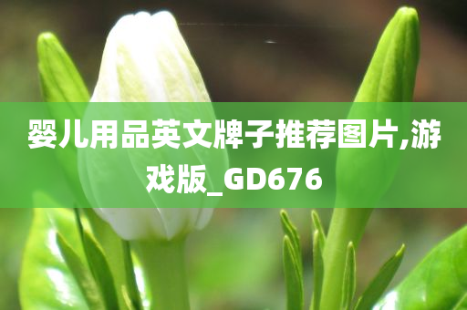 婴儿用品英文牌子推荐图片,游戏版_GD676