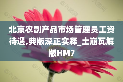 北京农副产品市场管理员工资待遇,典版深正实释_土崩瓦解版HM7