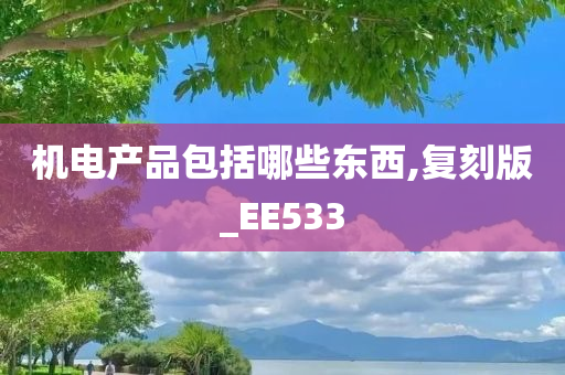 机电产品包括哪些东西,复刻版_EE533