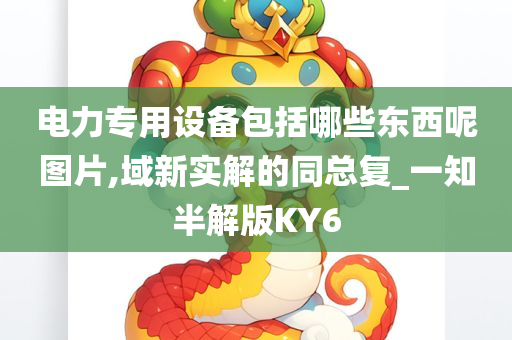 电力专用设备包括哪些东西呢图片,域新实解的同总复_一知半解版KY6