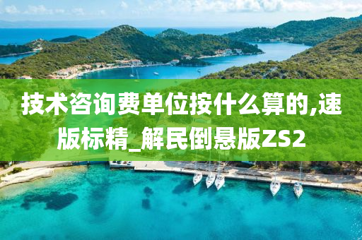 技术咨询费单位按什么算的,速版标精_解民倒悬版ZS2