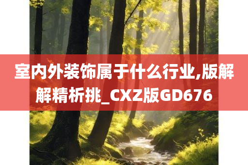 室内外装饰属于什么行业,版解解精析挑_CXZ版GD676